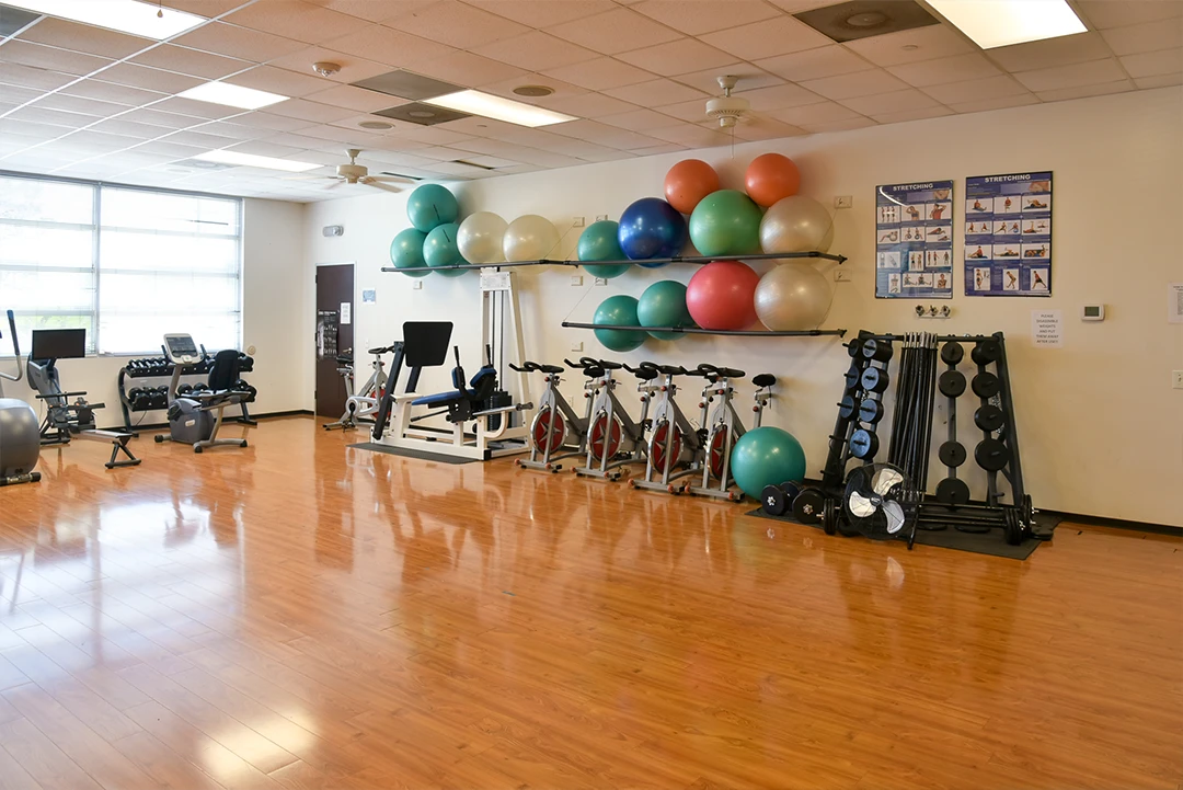 wellness11