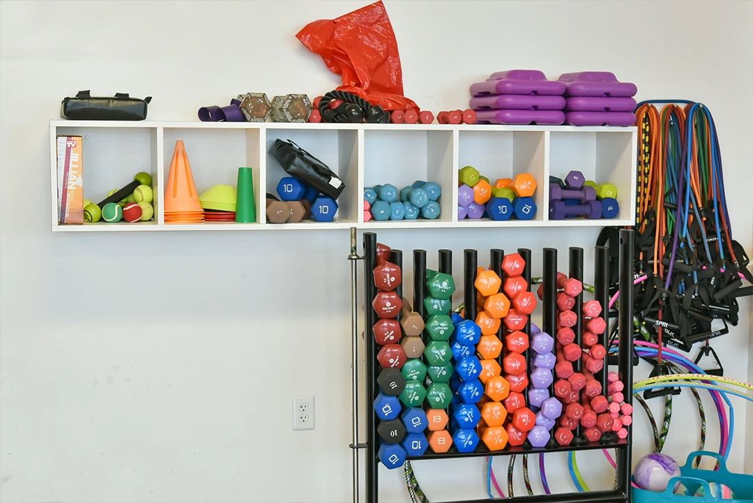 wellness12